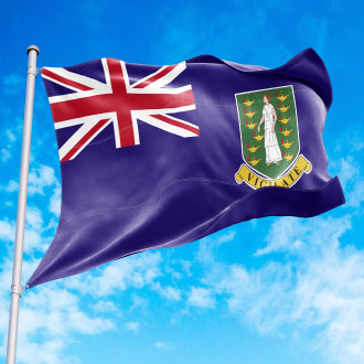 Ongoing BVI Company Cost After the First Year Ongoing BVI Company Cost After the First Year