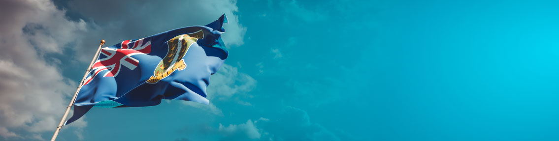 BVI Company Registry Search For UK Directors