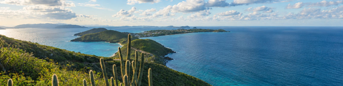BVI Business Company vs UAE Free Zone Company